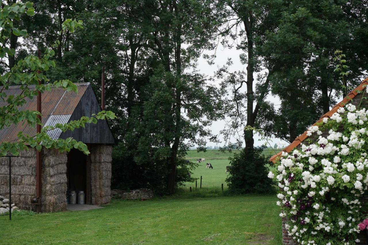 Het Leeuwterveld Bed & Breakfast Sint Jansklooster Ngoại thất bức ảnh